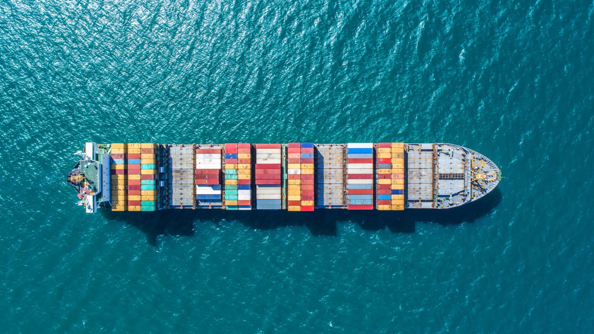 Freight Forwarder